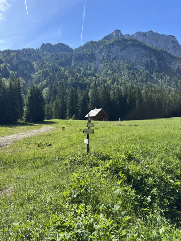 image00005